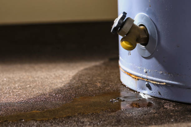 Best Water damage cleanup near me  in East Cleveland, TN