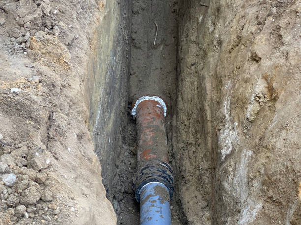 Best Local water damage restoration  in East Cleveland, TN