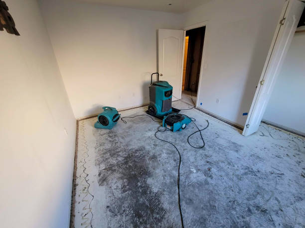 Water damage restoration process in TN