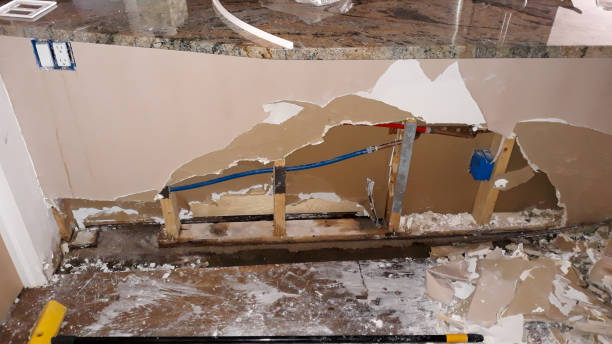 Best Flooded house restoration  in East Cleveland, TN