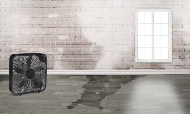 Best Residential water damage restoration  in East Cleveland, TN