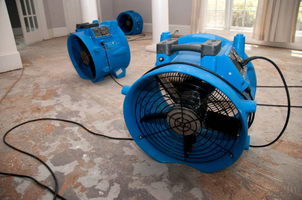 Best Professional water damage repair  in East Cleveland, TN