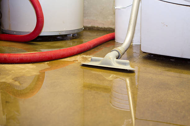 Best 24/7 water damage repair  in East Cleveland, TN