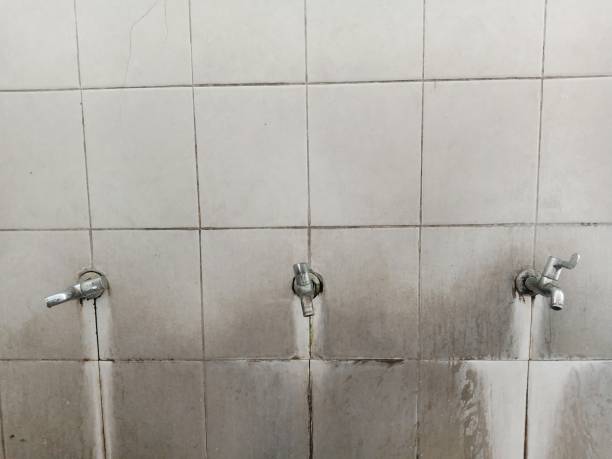 Best Water damage restoration cost  in East Cleveland, TN