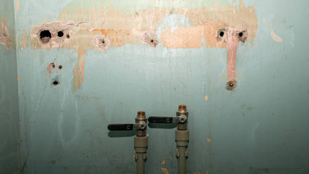Best Flood restoration services  in East Cleveland, TN