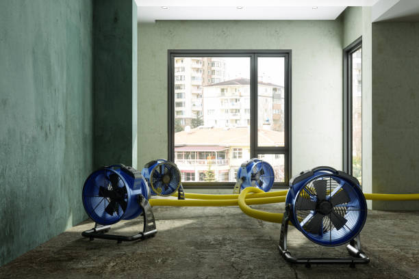 Best Emergency water damage restoration  in East Cleveland, TN